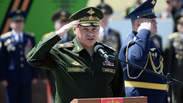 Министр обороны РФ, генерал армии Сергей Шойгу. Архивное фото