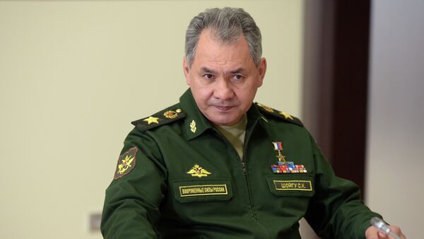 Министр обороны РФ Сергей Шойгу. Архивное фото.