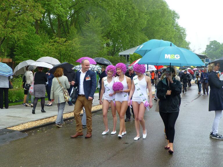 Chelsea Flower Show в Лондоне