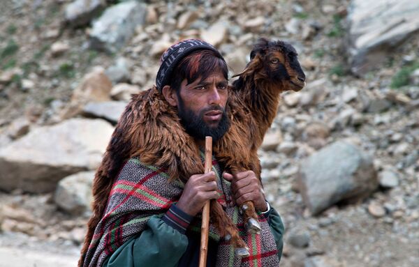 Кочевник с козленком на плечах в горах Кашмира