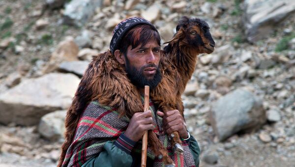 Кочевник с козленком на плечах в горах Кашмира
