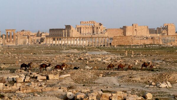 Город Пальмира в Сирии