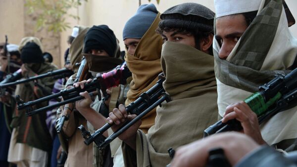 Афганские талибы в провинции Фарах. Архивное фото