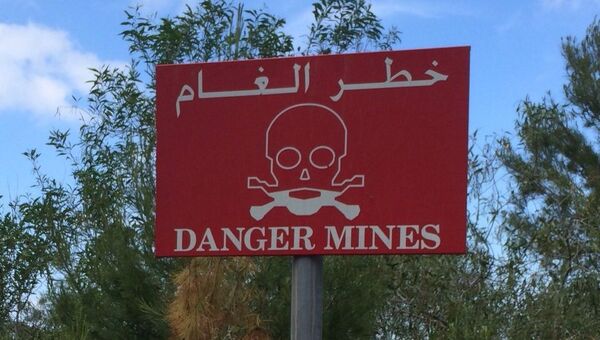 Знак Осторожно, мины в одном из поселений южного Ливана. Архивное фото