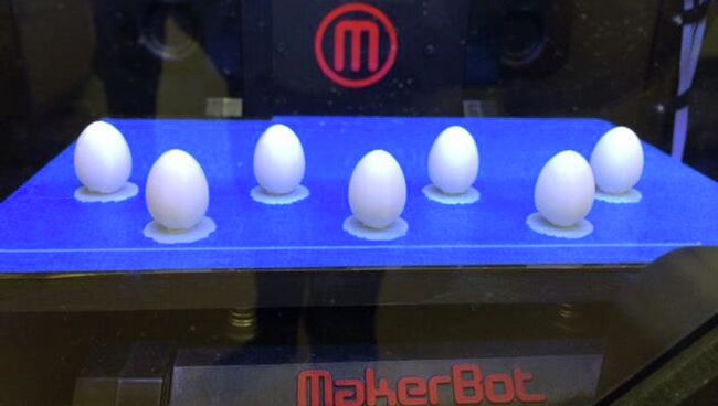 Муляжи яиц буроголовых трупиалов внутри 3D-принтера