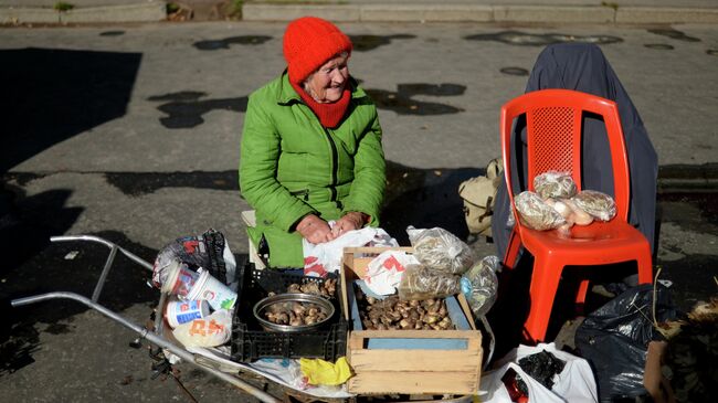 Сельскохозяйственная ярмарка в Великом Новгороде