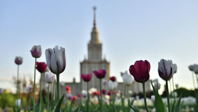 Вид на Главное здание МГУ