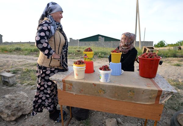 Местные жительницы продают клубнику на трассе Махачкала-Грозный в Дагестане