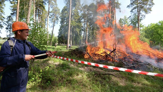 Сотрудник лесной охраны тушит пожар в рамках командно-штабных учений МЧС в Зеленодольске. Архивное фото