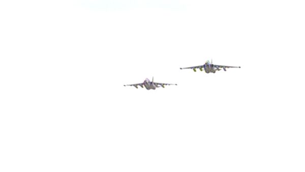 Истребители МиГ-29 устроили воздушный бой над полигоном Ашулук во время учений