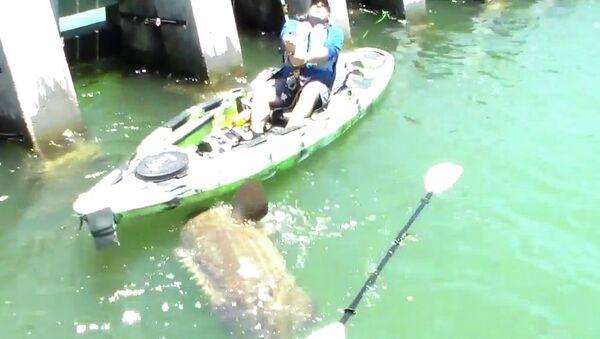 Хит YouTube: рыбак поймал на удочку 250-килограммового окуня