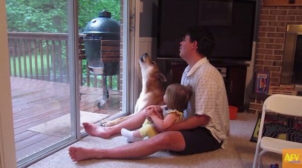 Семейный хор: девочка учит собаку правильно выть