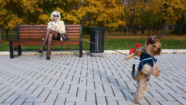 Женщина с собакой в сквере Новодевичьего монастыря в Москве