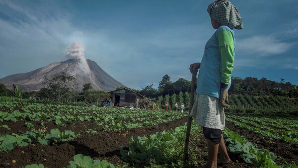 Фермер смотрит на извержение вулкана на острове Суматра в Индонезии