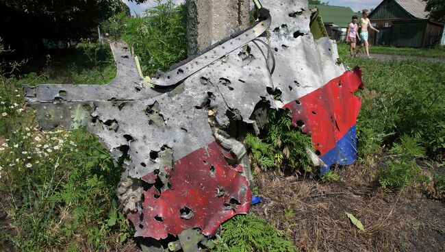 Обломки Боинга в Донецкой области. Архивное фото