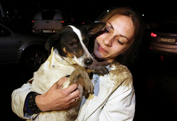 Собака, спасенная из зоны затопления в Тбилиси. Июнь 2015