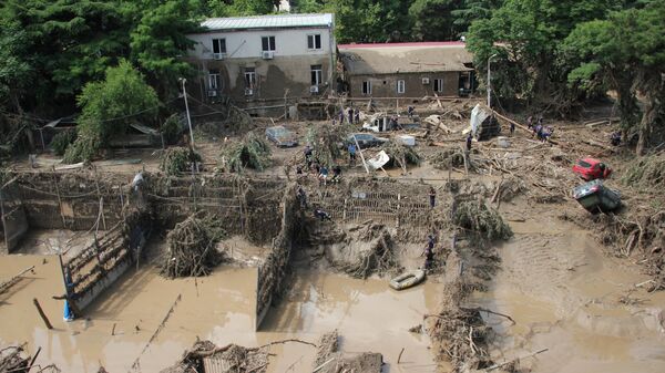 Горожане ликвидируют завалы в зоопарке Тбилиси, образовавшиеся в результате сильного ливня и последовавшего за ним наводнения в ночь на 14 июня 2015 года
