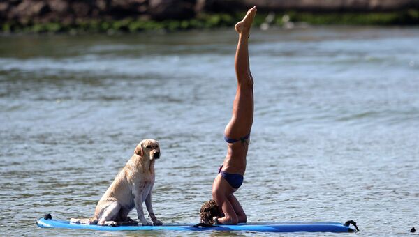 Сесилия Канетти из Бразилии практикует йога на воде с своей собакой Поло