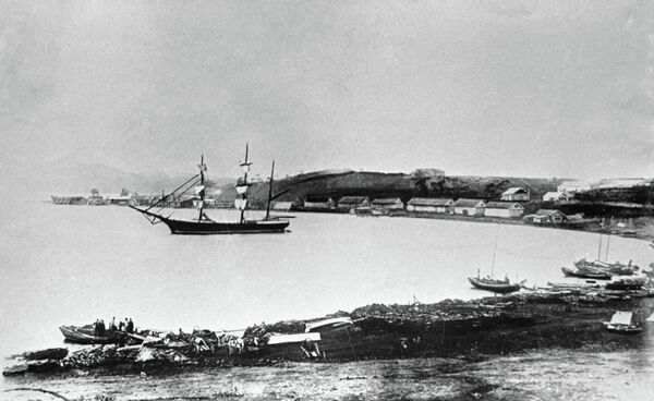 Вид на город Владивосток 1868 года