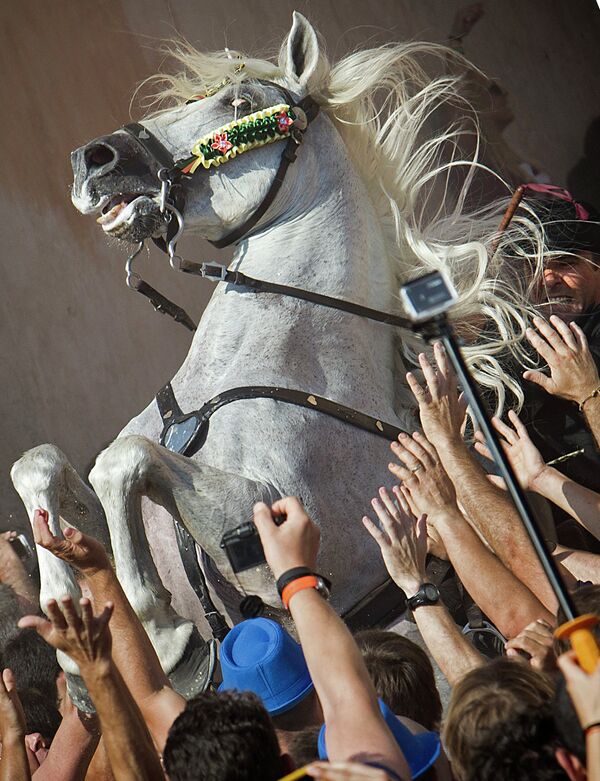 Лошадь на фестивале Сан-Хуан, Испания