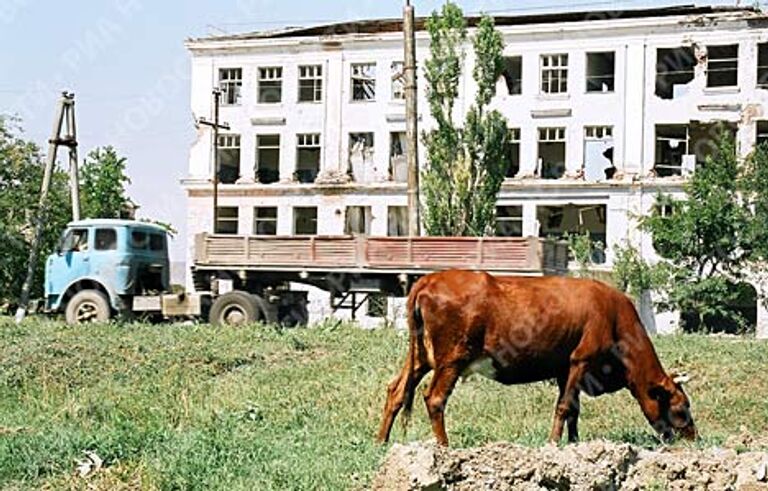 РИА Новости. Фото Сергея Новикова