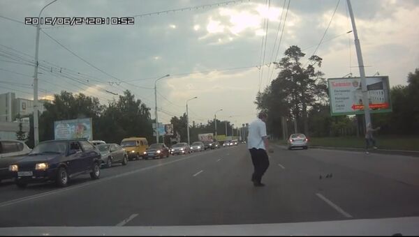 Утята-нарушители остановили движение в Омске