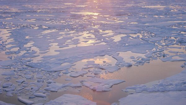 Арктика. Архивное фото