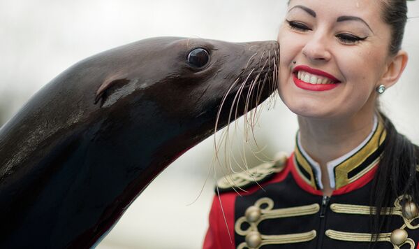 Морской котик целует дрессировщика во время фотосессии
