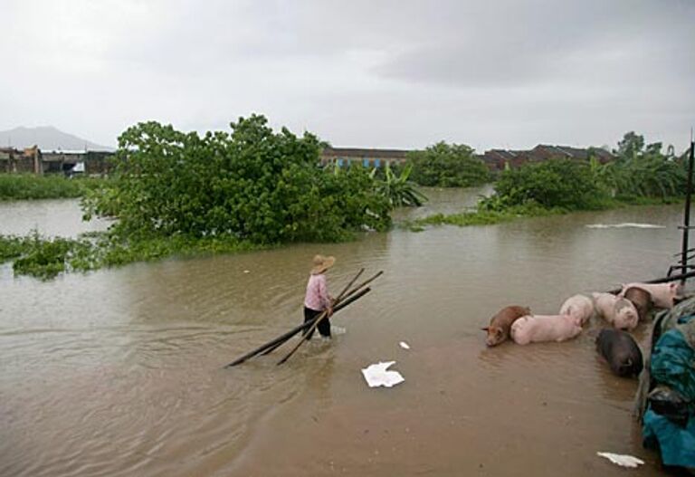 REUTERS/China Daily 