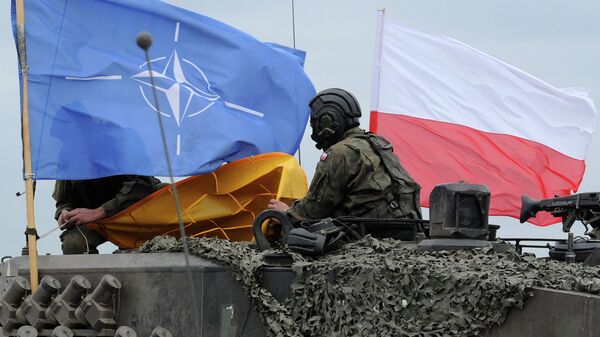 Флаг Польши и НАТО на польском танке во время совместных учений. Архивное фото
