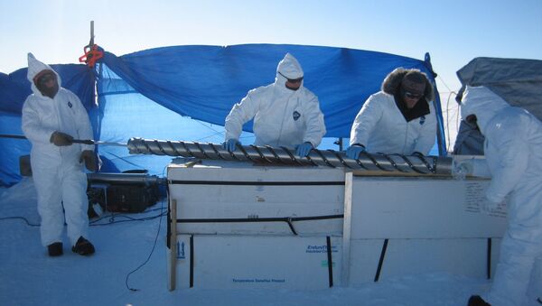 Ученые извлекают образец льдов во время экспедиции на Гренландию