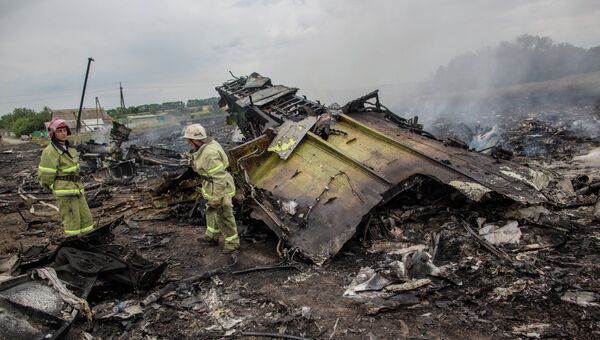 Спасатели работают на месте крушения малайзийского самолета Boeing 777 в районе города Шахтерск Донецкой области