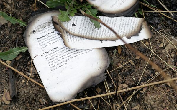 Страницы из книги на месте крушения малайзийского самолета Boeing 777 в районе города Шахтерск Донецкой области