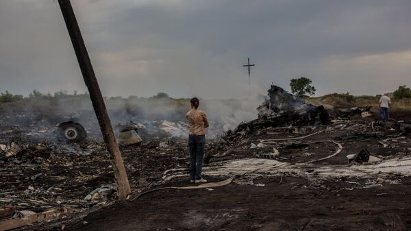 На месте крушения малайзийского самолета Boeing 777 в районе города Шахтерск Донецкой области. Архивное фото