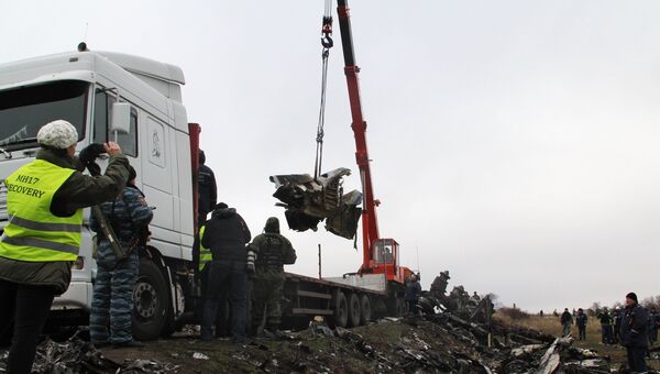 Голландские эксперты приступили к сбору обломков малайзийского Boeing на востоке Украины. Архивное фото