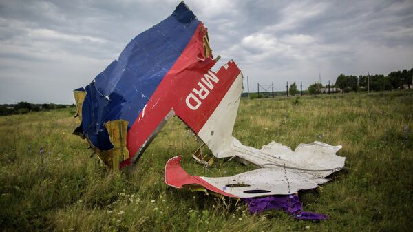 Обломки лайнера Boeing 777 Малайзийских авиалиний, потерпевшего крушение в районе города Шахтерск Донецкой области. Архивное фото