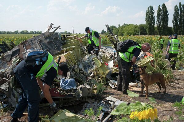 На месте крушения малайзийского самолета Boeing, выполнявшего рейс MH17 Амстердам — Куала-Лумпур