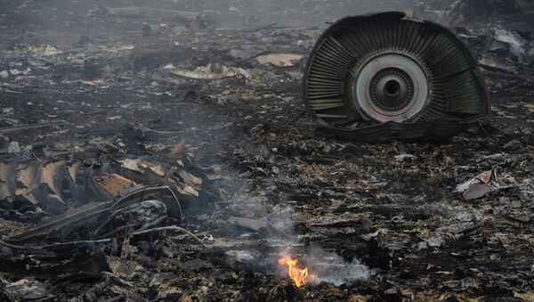 На месте крушения малайзийского самолета Boeing 777 в районе города Шахтерск Донецкой области. Архивное фото