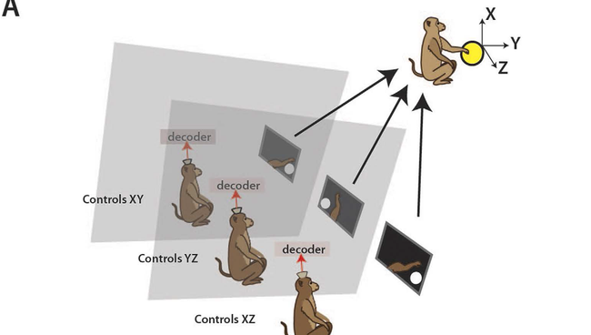 Схема эксперимента Схема эксперимента