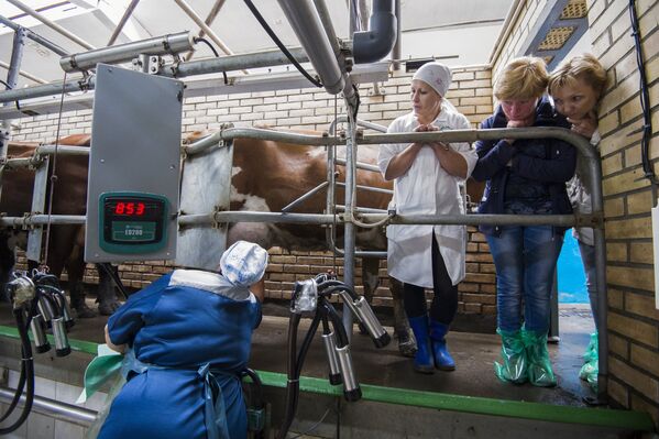 Участница областного конкурса операторов машинного доения коров в поселке Павлоградка Омской области