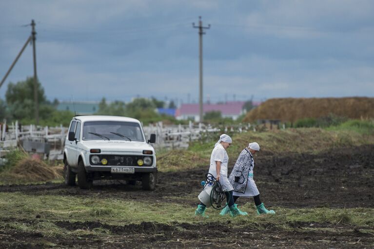 Участницы областного конкурса операторов машинного доения коров в поселке Павлоградка Омской области