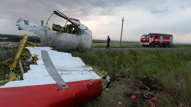 На месте крушения малайзийского самолета Boeing 777 в районе города Шахтеск Донецкой области. Архивное фото