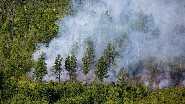 Пожары в Амурской области