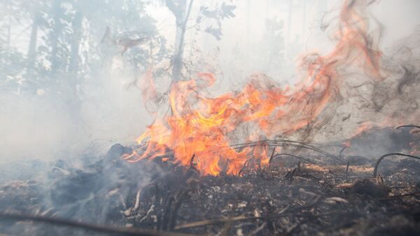 Пожары в Амурской области. Архивное фото