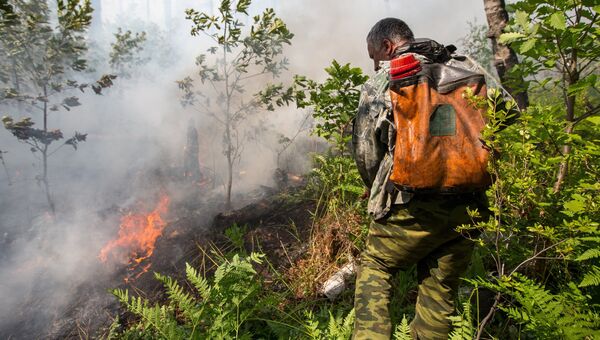 Сотрудник лесной охраны тушит лесной пожар. Архивное фото