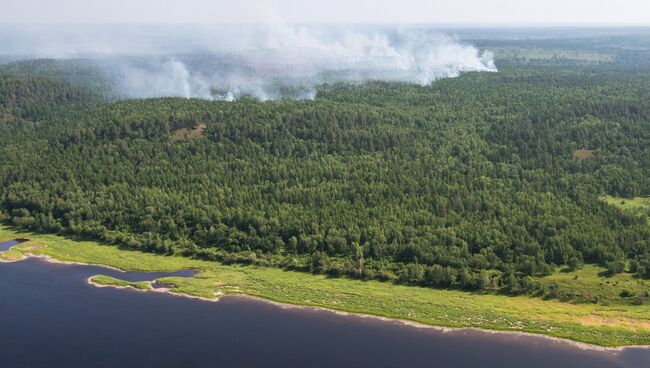 Пожары в Амурской области