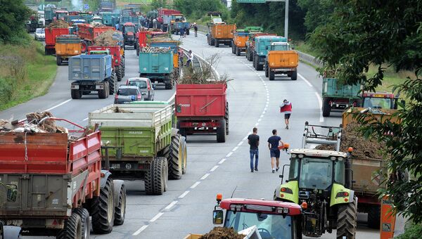 Протесты фермеров во Франции. Архивное фото