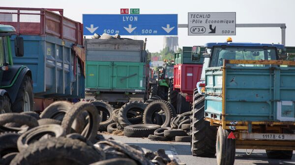 Фермеры заблокировали трассу Париж-Лион, Франция