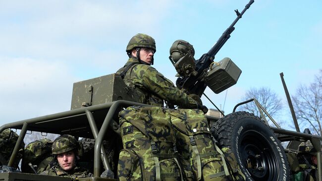 Военнослужащие чешской армии во время учений. Архивное фото