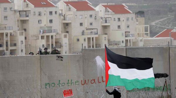 Протестующий против разделительной стены палестинец в окрестностях Рамаллы. 17 февраля 2012